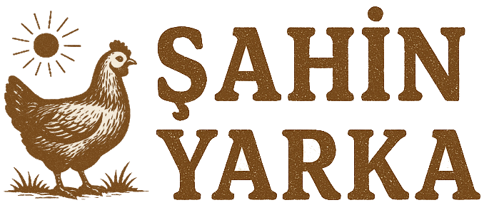 Genç Yumurtalık Tavuk Satışı | Yarka Tavuk | Şahin Yarka Antalya